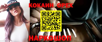 крисы Кандалакша