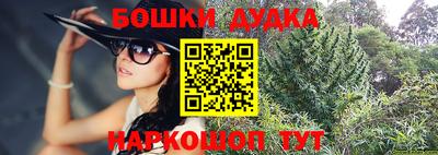 крисы Кандалакша