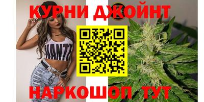 крисы Кандалакша